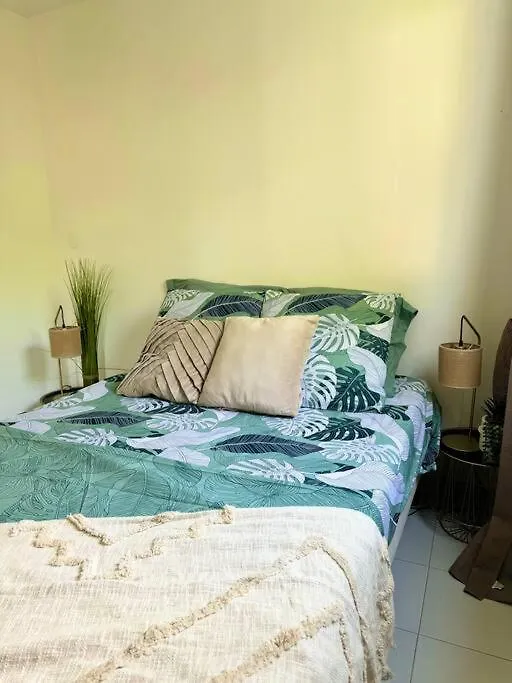 Hamo154 T2 Avec Piscine Proche Plage Et Commerces Sainte-Anne Martinique