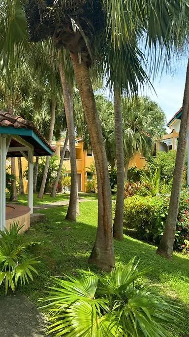 Hamo154 T2 Avec Piscine Proche Plage Et Commerces Sainte-Anne Apartmán