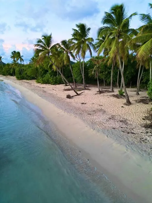 Hamo154 T2 Avec Piscine Proche Plage Et Commerces Sainte-Anne Apartmán